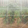 Outsunny 3 x 2 x 2m Polytunnel Greenhouse with 2 Hinged Door, Walk-in Grow House Tent with PE Cover and Galvanised Steel Frame, Clear