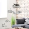 PawHut Cat Wall Shelves, 4 Piece Wall-Mounted Cat Tree with Steps, Ladder, Jumping Platforms, Scratching Posts, Toy Ball, Cat Wall Furniture for Indoor Cats, Light Grey