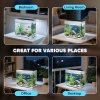 PawHut 17L Fish Tank, Glass Aquarium with Filter System, LED Light, Water Pump, Fish Tank Starter Kits for Betta, Goldfish, Shrimps, White