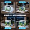 PawHut Fish Tank, 26L Glass Aquarium with Filter System, LED Lights, Water Pump, Betta Fish Tank for Goldfish, Shrimps, White