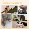 PawHut Cat Wheel for Indoor Cats, Cat Treadmill with Brake, Scratching Pads, Cat Exercise Wheel for Health - Oak Tone