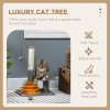 PawHut 56cm Cat Tree for Indoor Cats, Scratching Post w/ Cat Toys Climbing Tower Activity Centre, Dangling Ball - Grey
