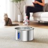 PawHut Cat Water Fountain for Drinking, 2.5L Cat Fountain Stainless Steel Automatic with Ultra-Silent Pump, Water-Level Window, Filters