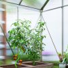 Outsunny Polycarbonate Greenhouse, Small Greenhouse with Adjustable Roof Vent, Garden Green House with Galvanised Base, Sliding Door and Rain Gutter,  192.5 x 131 x 200 cm, Silver Tone