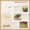 PawHut Cat Tree for Indoor Cats, Cat Scratching Post with Bed, Toy Ball, 53.5 x 53.5 x 90cm - Beige