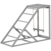 PawHut Chicken Activity Play Set with Swing, Chicken Coop Toy with Ladder, Platform for 2 Chickens, Hens, Grey
