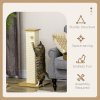 PawHut Cat Scratching Post 80cm Tall Cat Scratch Post with Hanging Ball Toy, Cat Scratcher Natural Sisal Rope
