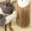 PawHut Cat Scratching Post, 49cm Cat Scratcher with Sisal Post, Interactive Track Ball Toy, Self Grooming Brush, Hanging Toy Ball, Feather, 5 in 1 Small Kitten Cat Scratch post, Oak Tone