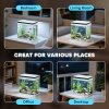 PawHut Fish Tank, 14L Glass Aquarium with Filter System, LED Lights, Water Pump, Betta Fish Tank for Goldfish, Shrimps, White