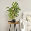 HOMCOM Decorative Artificial Plants Bamboo Tree in Pot, Desk Fake Plants for Home Indoor Outdoor Decor, 60cm