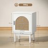 HOMCOM Rattan Bedside Table, Boho Bedside Cabinet with Adjustable Shelf and Solid Wood Legs, Side Table for Living Room, Bedroom
