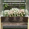 Outsunny Wooden Raised Planter with Plastic Greenhouse Cover and Bed Liner, Elevated Garden Bed for Vegetables, Flowers, Herbs, 115 x 60 x 165cm, Clear