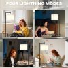HOMCOM Floor Lamp for Living Room, 66