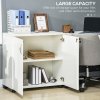 Vinsetto Filing Cabinet with Locking Doors & Shelves, 2-Tier Lockable Storage Cabinet with 2 Keys for Home Office, 80W x 40D x 80H cm, White