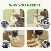 PawHut Cat Scratching Post, 49cm Cat Scratcher with Sisal Post, Interactive Track Ball Toy, Self Grooming Brush, Hanging Toy Ball, Feather, 5 in 1 Small Kitten Cat Scratch post, Oak Tone