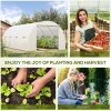 Outsunny 6 x 3 x 2 m Polytunnel Greenhouse, Walk in Polytunnel Tent with Metal Frame, Zippered Door and 8 Windows for Garden and Backyard, White