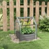 Outsunny Raised Garden Bed with Mini Greenhouse, Outdoor Metal Planter Box with Cover, for Herbs and Vegetables, Use for Patio, Garden, Balcony, Clear and Dark Grey