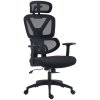 Vinsetto Ergonomic Office Chair, Mesh Swivel Desk Chair with Lumbar Support, Padded Seat, Adjustable Height and Headrest for Home Office, Black