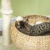 PawHut 72cm Cat Tree for Indoor Cats with 2 Beds, Kitten Tower with Scratching Post, Toy Ball - Beige