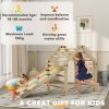 AIYAPLAY 3 in 1 Kids Climbing Set, Foldable Toddler Climbing Toys Indoor with Sliding Ramp, Montessori Climber Set for 2-6 Years Old, Gift for Boys, Girls
