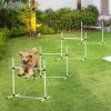 PawHut Dog Agility Equipment Training Height Adjustable Jumps Hurdle 4 Pieces with Carrying Bag for Outdoor, White