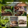 PawHut Reptile Glass Terrarium, Reptile Vivarium with Stone Background, Front Ventilation, Escape-Proof Knob Lock, Glass Enclosure for Lizards, Horned Frogs, Snakes, 30 x 20 x 20 cm, Black
