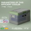 Outsunny 30L Car Refrigerator, Portable Compressor Car Fridge Freezer, Electric Cooler Box with 12/24V DC and 110-240V AC for Camping, Driving, Picnic, Down to -20°C, Light Green and Grey