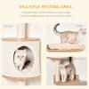 PawHut Cat Tree for Indoor Cats, Wall Mounted Cat Shelf w/ Perch, Cat House, Scratching Post - Beige