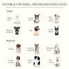 PawHut Raised Dog Bowl Feeding Bowls with Stand for Medium Dogs Elevated Pet Bowls Water Food Feeder 58L x 31W x 25H cm - White