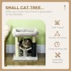 PawHut Small Cat Tree for Indoor Cats, Cat Scratching Post with Bed, Self Groomer, Toy - Grey
