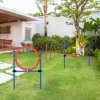 PawHut Pet Agility Training Equipment Dog Play Run Jump Obedience Training Set Adjustable (Pole + Hoop + Hurdle)
