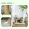PawHut Cat Scratching Post Cat Tree Tower With Bed for Indoor Cats Scratcher Toy Balls 48 x 38 x 42cm - White