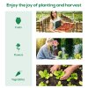 Outsunny 3 x 2 m Polytunnel Greenhouse with Zipped Roll-up Door and Mesh Windows, Walk-in Greenhouse with PE Cover and Galvanised Steel Frame, White