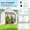 Outsunny Mini Pop Up Greenhouse with Reinforced PE Cover, Foldable Small Greenhouse with Zipper Door for Indoor Outdoor, 150 x 148 x 148 cm, White