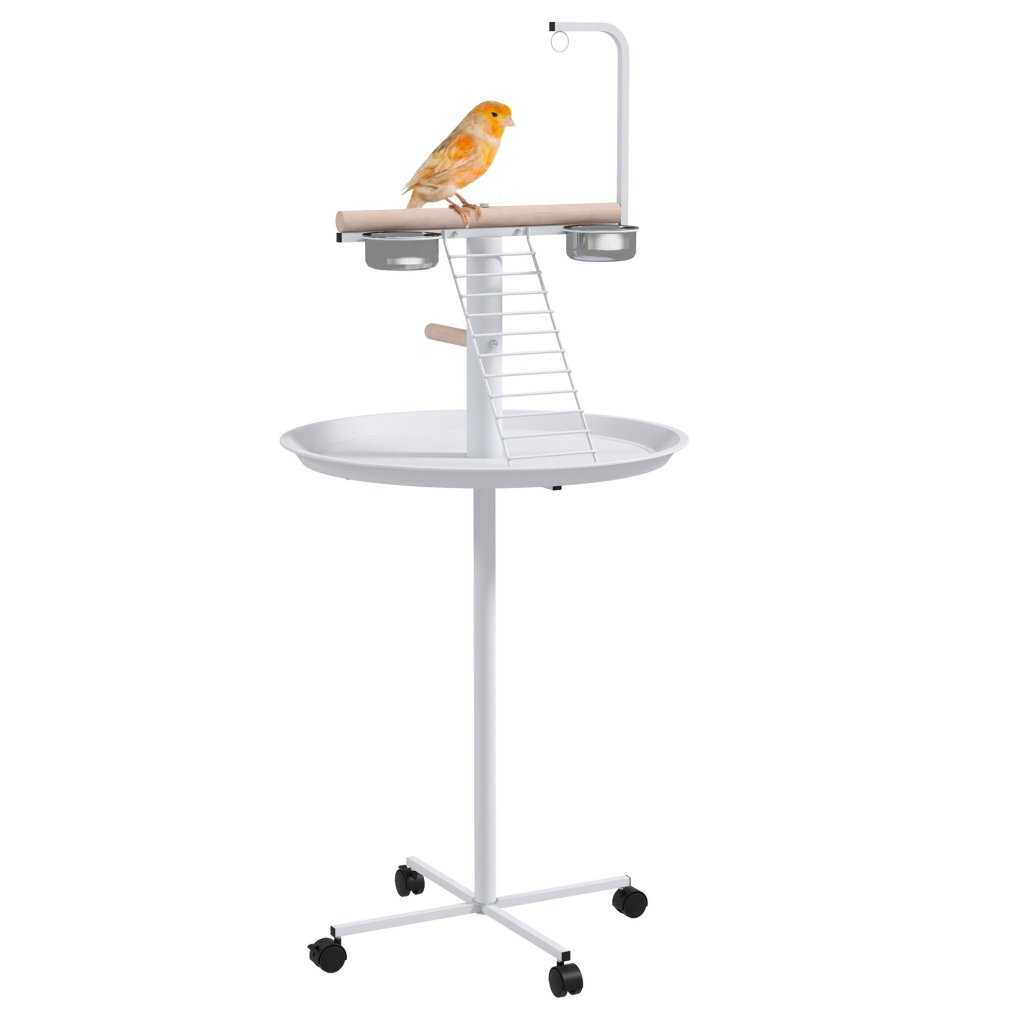 Bird Perches Image