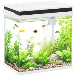 PawHut Fish Tank, 14L Glass Aquarium with Filter System, LED Lights, Water Pump, Betta Fish Tank for Goldfish, Shrimps, White