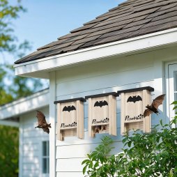 PawHut Bat Boxes, Pack of 3 Wooden Bat Houses for Outdoor, Garden, Farm, Easy for Bat to Land and Roost, Designed to Attract Bats & Easy to Hang, 18 x 6 x 22.5 cm