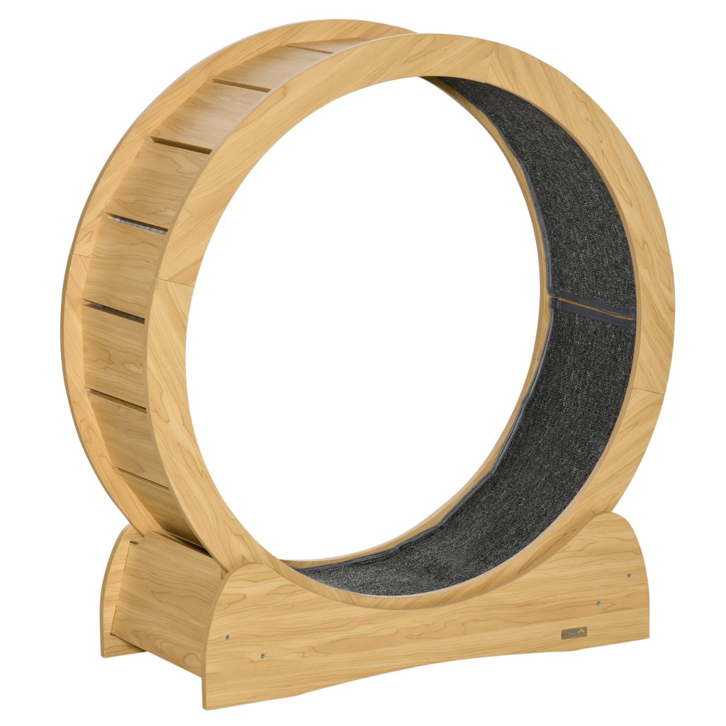 Cat Exercise Wheels Image