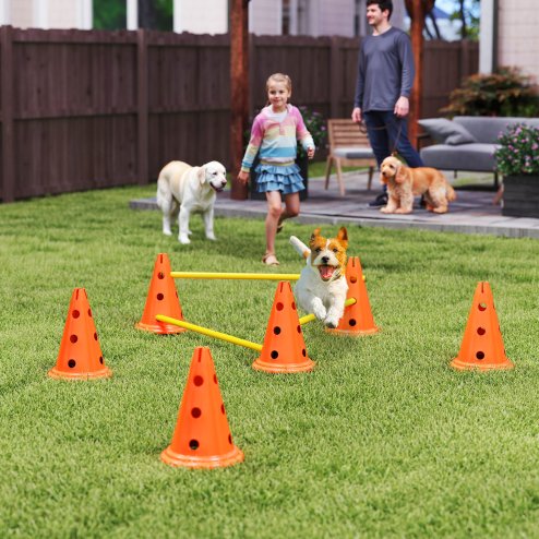 PawHut Dog Agility Set, Portable Pet Jump Training Equipment Kit for Six Cones, Six Poles with Carry Bag, Three-Piece Adjustable Height Jumping Obstacles, Orange