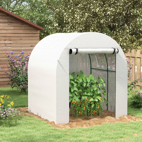 Outsunny Walk in Polytunnel Greenhouse, Tomato Greenhouse with Roll-up Window and Door, PE Cover, Steel Frame for Garden, 1.8 x 1.8 x 2 m, White