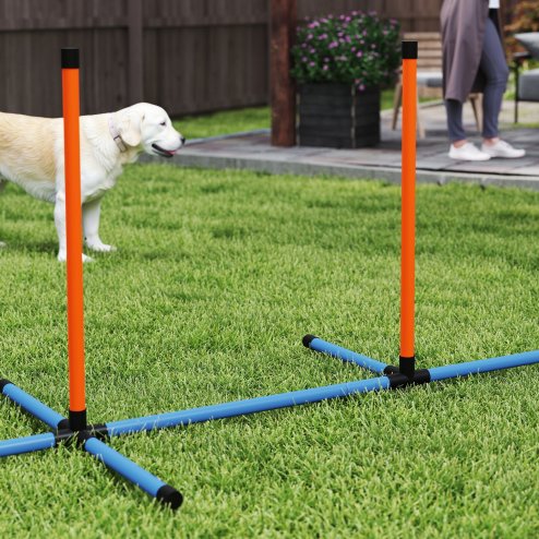 PawHut 6-Piece Dog Agility Equipment, Pet Agility Training Set with Weave Poles, Jump Ring, Hurdle, Pause Box, Obstacle Training Course Kit with Bag, Orange