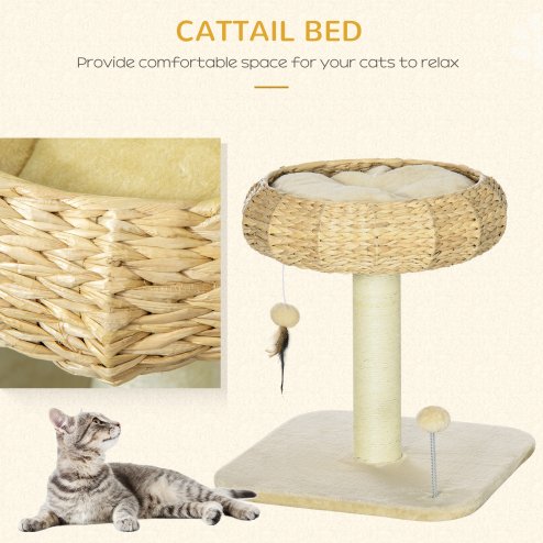 PawHut 51cm Cat Tree, Kitty Activity Center, Cat Climbing Toy, Cat Tower w/ Cattail Bed, Toy Ball, Scratching Post - Beige