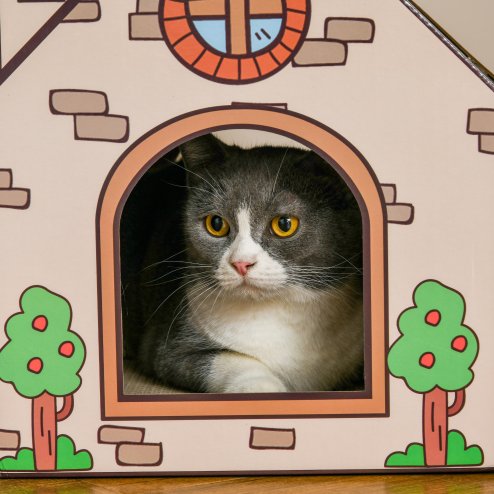 PawHut Cardboard Cat House with Scratcher, Catnip, Recyclable Corrugate Scratcher for Indoor Cats, Cat Scratching Board Pad,  42 x 30 x 37cm