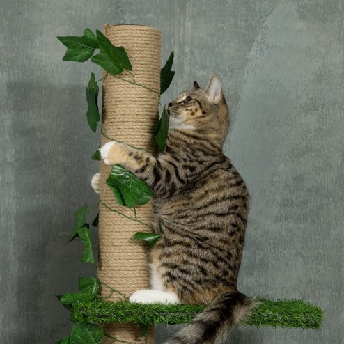 PawHut 242cm Floor to Ceiling Cat Tree for Indoor Cats with Leaves, Height Adjustable Cat Climbing Tower with Scratching Post, Anti-Slip Kit - Green