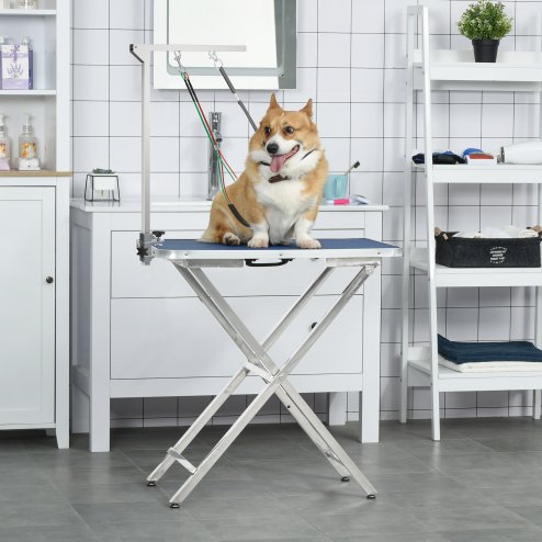 PawHut Foldable Pet Grooming Arm w/ Clamp 30 Inch Height Adjustable, Dog Grooming Loop, Two No Sit Haunch Holders for Small Medium Dogs, Sliver