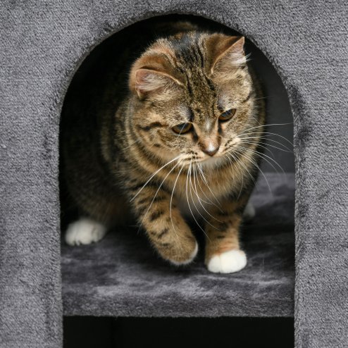 PawHut 2 Layer Cat House, Cat Beds for Indoor Cats with Scratching Pad, 81cmH, Grey