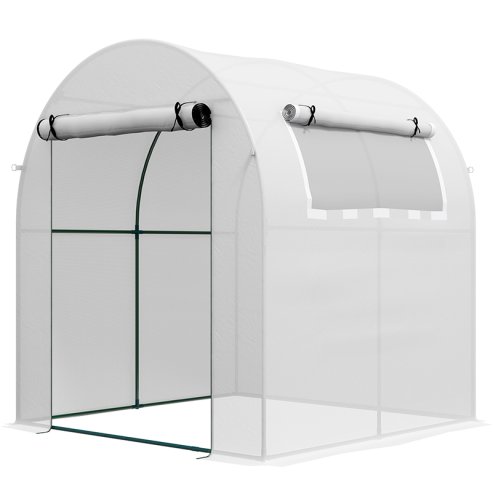 Outsunny Walk in Polytunnel Greenhouse, Tomato Greenhouse with Roll-up Window and Door, PE Cover, Steel Frame for Garden, 1.8 x 1.8 x 2 m, White