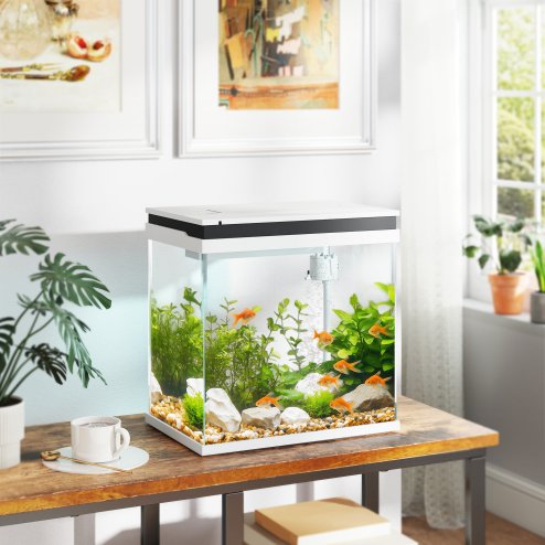 PawHut Fish Tank, 26L Glass Aquarium with Filter System, LED Lights, Water Pump, Betta Fish Tank for Goldfish, Shrimps, White