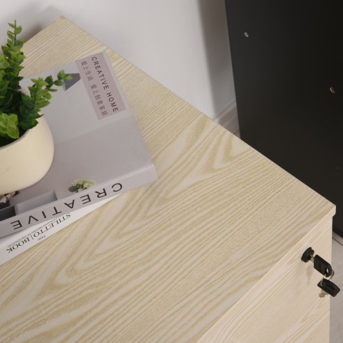 Vinsetto 2-Drawer Locking Office Filing Cabinet w/ 5 Wheels Rolling Storage Hanging A4 Cupboard Home Organisation, Oak Wood Grain