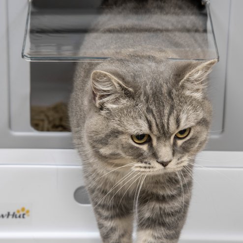 PawHut Cat Litter Tray with Hood Enclosed Cat Litter Box Pet Toilet w/ Lid, Scoop, Front Entry, 47.5 x 35.5 x 36.7cm - Grey